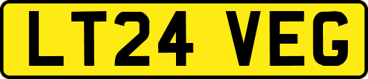LT24VEG