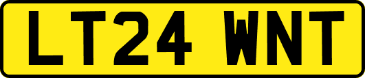 LT24WNT