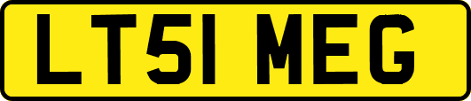 LT51MEG