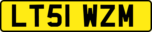 LT51WZM