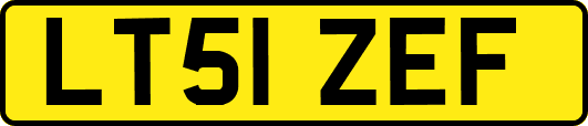 LT51ZEF