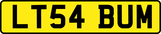LT54BUM