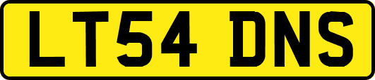 LT54DNS