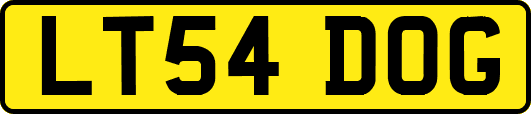 LT54DOG