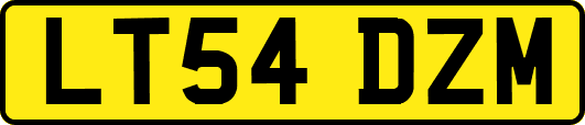 LT54DZM