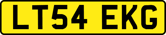 LT54EKG