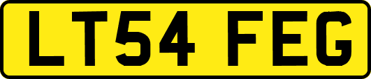 LT54FEG
