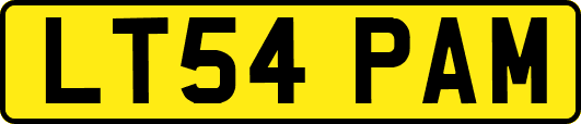 LT54PAM