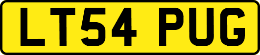 LT54PUG