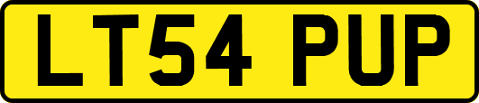 LT54PUP
