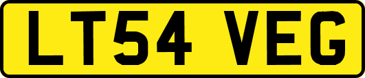 LT54VEG