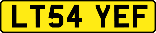 LT54YEF