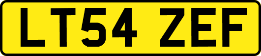 LT54ZEF