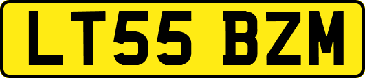 LT55BZM