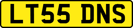 LT55DNS
