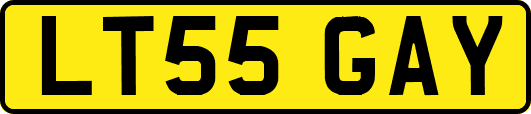LT55GAY