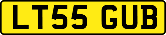 LT55GUB