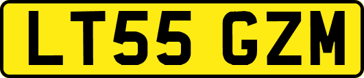 LT55GZM