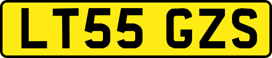 LT55GZS