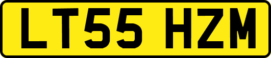 LT55HZM