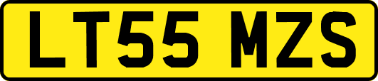 LT55MZS