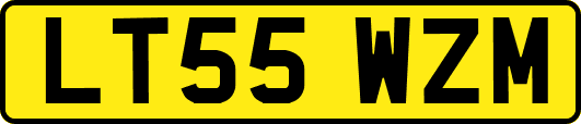 LT55WZM