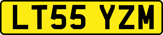 LT55YZM