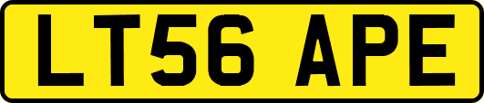 LT56APE