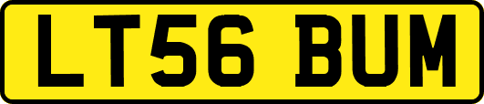 LT56BUM