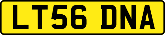 LT56DNA