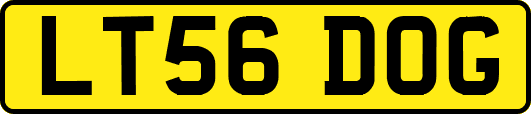 LT56DOG