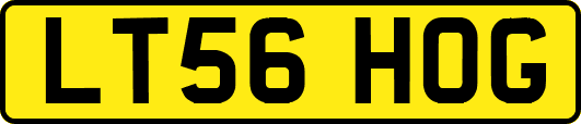 LT56HOG