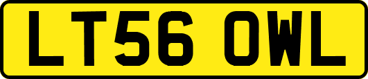 LT56OWL