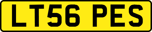 LT56PES