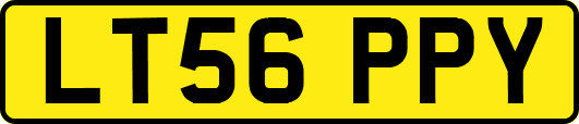 LT56PPY