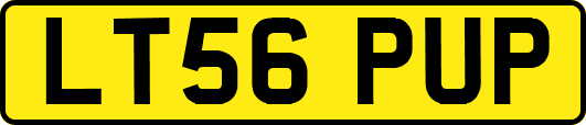 LT56PUP