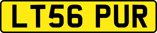 LT56PUR
