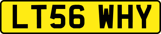 LT56WHY
