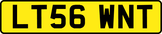 LT56WNT