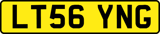 LT56YNG