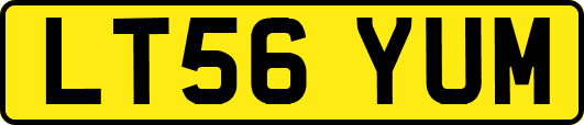 LT56YUM