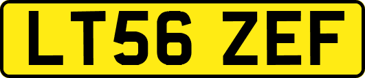 LT56ZEF