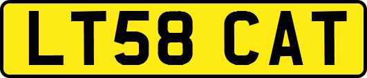 LT58CAT