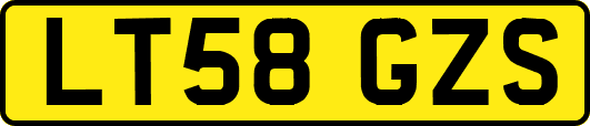 LT58GZS