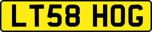 LT58HOG