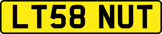 LT58NUT