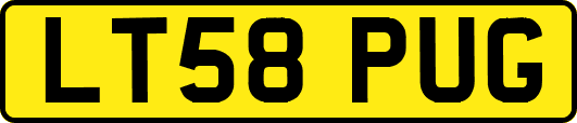 LT58PUG