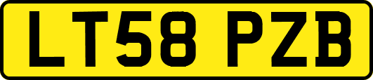 LT58PZB
