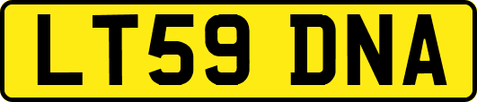 LT59DNA