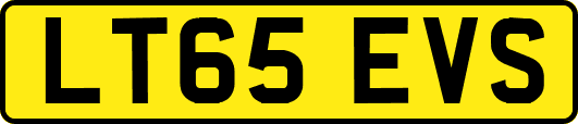 LT65EVS